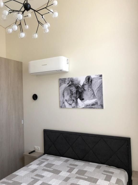 Апартаменты Harmony Holiday Apartments Паланга